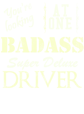 https://s3.us-west-1.wasabisys.com/ecart-content/cargeektees.com/overlays/528/264/5282643.png img