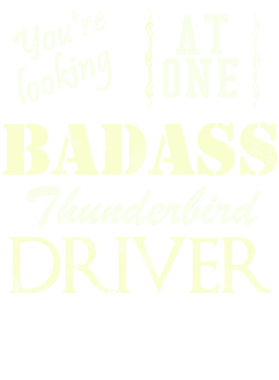 https://s3.us-west-1.wasabisys.com/ecart-content/cargeektees.com/overlays/528/271/5282710.png img