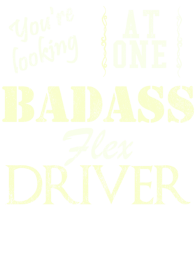 https://s3.us-west-1.wasabisys.com/ecart-content/cargeektees.com/overlays/528/299/5282996.png img