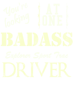https://s3.us-west-1.wasabisys.com/ecart-content/cargeektees.com/overlays/528/305/5283059.png img
