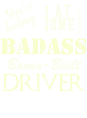 https://s3.us-west-1.wasabisys.com/ecart-content/cargeektees.com/overlays/528/332/5283326.png img
