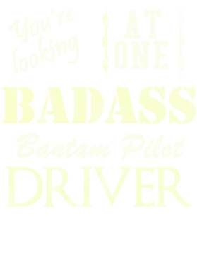 https://s3.us-west-1.wasabisys.com/ecart-content/cargeektees.com/overlays/528/538/5285388.png img