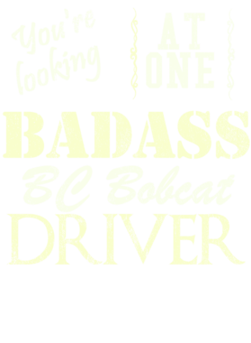 https://s3.us-west-1.wasabisys.com/ecart-content/cargeektees.com/overlays/528/540/5285403.png img