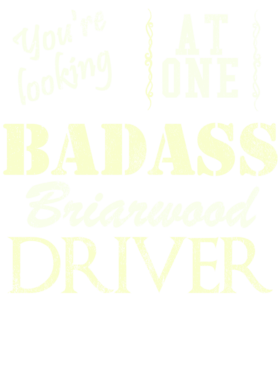 https://s3.us-west-1.wasabisys.com/ecart-content/cargeektees.com/overlays/528/542/5285423.png img