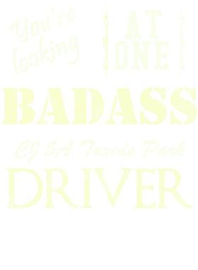https://s3.us-west-1.wasabisys.com/ecart-content/cargeektees.com/overlays/528/577/5285774.png img