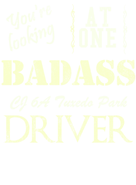 https://s3.us-west-1.wasabisys.com/ecart-content/cargeektees.com/overlays/528/580/5285803.png img