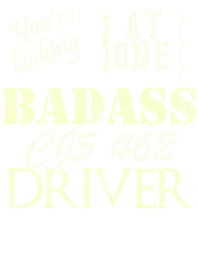 https://s3.us-west-1.wasabisys.com/ecart-content/cargeektees.com/overlays/528/586/5285867.png img