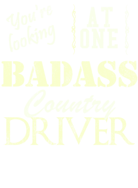 https://s3.us-west-1.wasabisys.com/ecart-content/cargeektees.com/overlays/528/607/5286078.png img
