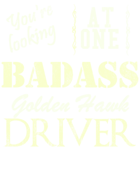 https://s3.us-west-1.wasabisys.com/ecart-content/cargeektees.com/overlays/528/652/5286524.png img