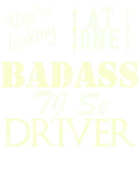 https://s3.us-west-1.wasabisys.com/ecart-content/cargeektees.com/overlays/528/766/5287666.png img