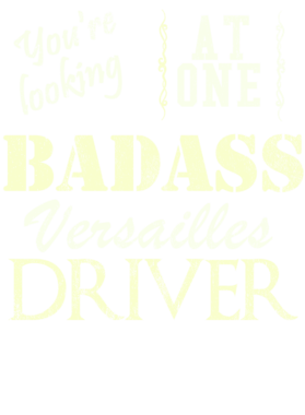 https://s3.us-west-1.wasabisys.com/ecart-content/cargeektees.com/overlays/528/839/5288394.png img