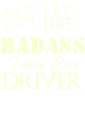 https://s3.us-west-1.wasabisys.com/ecart-content/cargeektees.com/overlays/528/841/5288411.png img