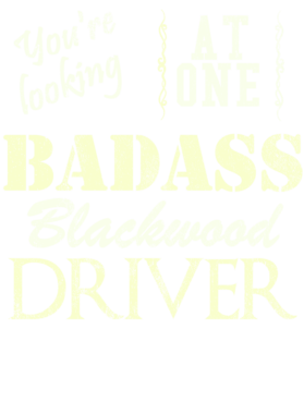 https://s3.us-west-1.wasabisys.com/ecart-content/cargeektees.com/overlays/528/844/5288440.png img