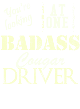 https://s3.us-west-1.wasabisys.com/ecart-content/cargeektees.com/overlays/528/860/5288607.png img