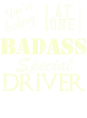 https://s3.us-west-1.wasabisys.com/ecart-content/cargeektees.com/overlays/528/892/5288928.png img