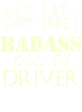 https://s3.us-west-1.wasabisys.com/ecart-content/cargeektees.com/overlays/528/930/5289304.png img