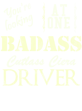 https://s3.us-west-1.wasabisys.com/ecart-content/cargeektees.com/overlays/528/962/5289623.png img