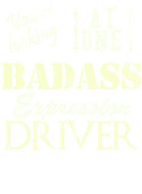 https://s3.us-west-1.wasabisys.com/ecart-content/cargeektees.com/overlays/528/976/5289766.png img