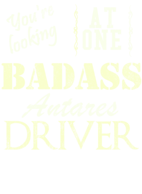https://s3.us-west-1.wasabisys.com/ecart-content/cargeektees.com/overlays/528/985/5289853.png img