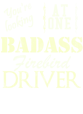 https://s3.us-west-1.wasabisys.com/ecart-content/cargeektees.com/overlays/529/021/5290216.png img