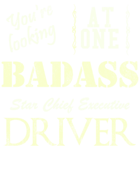 https://s3.us-west-1.wasabisys.com/ecart-content/cargeektees.com/overlays/529/525/5295254.png img