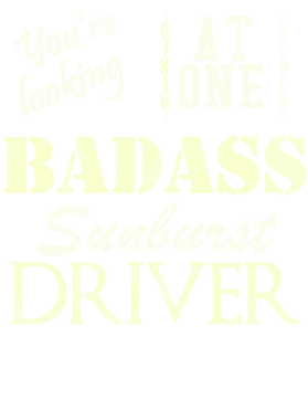 https://s3.us-west-1.wasabisys.com/ecart-content/cargeektees.com/overlays/529/531/5295317.png img