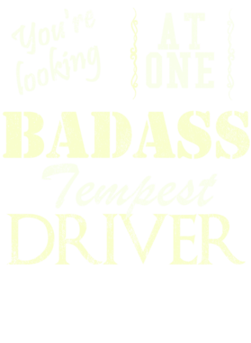 https://s3.us-west-1.wasabisys.com/ecart-content/cargeektees.com/overlays/529/541/5295412.png img