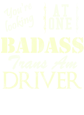 https://s3.us-west-1.wasabisys.com/ecart-content/cargeektees.com/overlays/529/544/5295446.png img