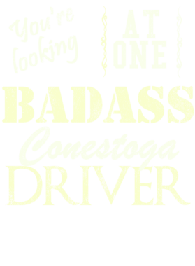 https://s3.us-west-1.wasabisys.com/ecart-content/cargeektees.com/overlays/529/622/5296221.png img