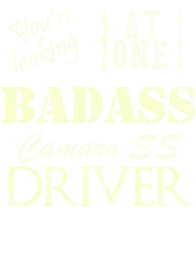 https://s3.us-west-1.wasabisys.com/ecart-content/cargeektees.com/overlays/529/668/5296688.png img