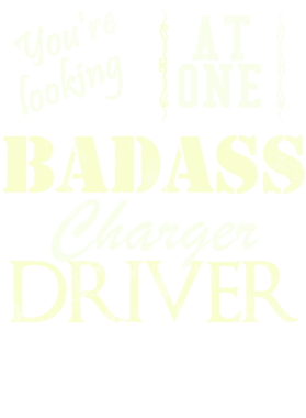 https://s3.us-west-1.wasabisys.com/ecart-content/cargeektees.com/overlays/529/695/5296957.png img