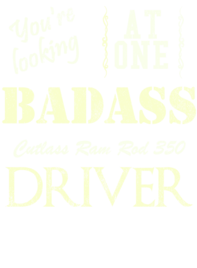https://s3.us-west-1.wasabisys.com/ecart-content/cargeektees.com/overlays/529/738/5297382.png img