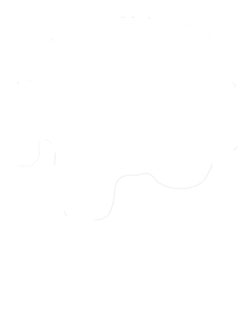https://s3.us-west-1.wasabisys.com/ecart-content/cargeektees.com/overlays/548/078/5480788.png img