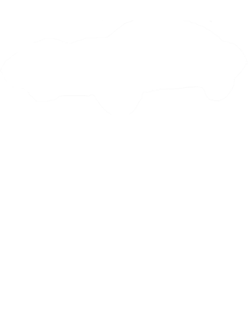 https://s3.us-west-1.wasabisys.com/ecart-content/cargeektees.com/overlays/548/087/5480870.png img
