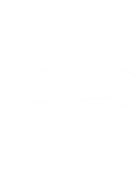https://s3.us-west-1.wasabisys.com/ecart-content/cargeektees.com/overlays/548/087/5480872.png img