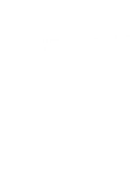 https://s3.us-west-1.wasabisys.com/ecart-content/cargeektees.com/overlays/549/667/5496672.png img