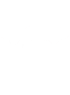 https://s3.us-west-1.wasabisys.com/ecart-content/cargeektees.com/overlays/549/667/5496674.png img