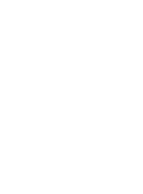 https://s3.us-west-1.wasabisys.com/ecart-content/cargeektees.com/overlays/552/201/5522018.png img