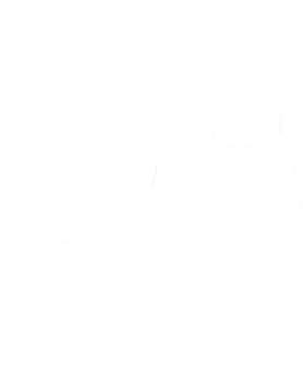 https://s3.us-west-1.wasabisys.com/ecart-content/cargeektees.com/overlays/559/209/5592099.png img