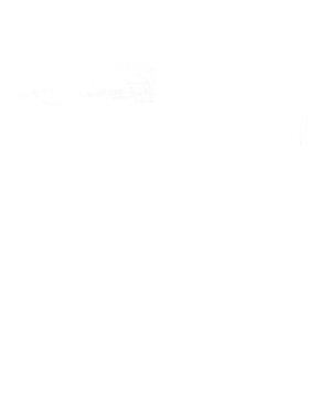 https://s3.us-west-1.wasabisys.com/ecart-content/cargeektees.com/overlays/560/852/5608527.png img