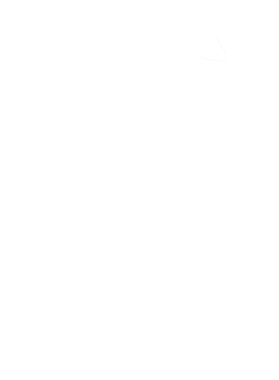 https://s3.us-west-1.wasabisys.com/ecart-content/cargeektees.com/overlays/570/421/5704214.png img