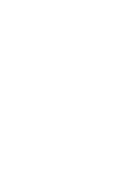 https://s3.us-west-1.wasabisys.com/ecart-content/cargeektees.com/overlays/570/464/5704646.png img