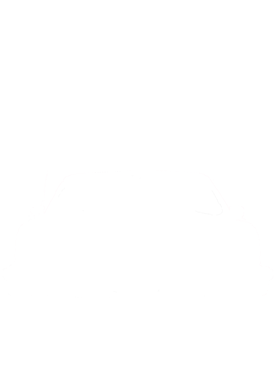 https://s3.us-west-1.wasabisys.com/ecart-content/cargeektees.com/overlays/570/476/5704767.png img