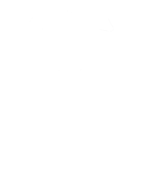 https://s3.us-west-1.wasabisys.com/ecart-content/cargeektees.com/overlays/570/502/5705029.png img