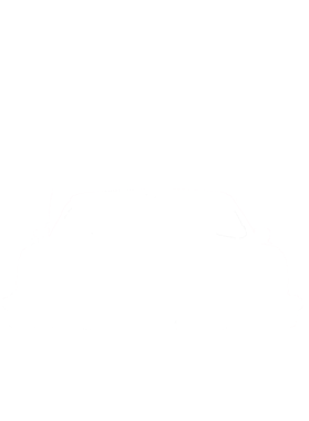 https://s3.us-west-1.wasabisys.com/ecart-content/cargeektees.com/overlays/571/680/5716803.png img