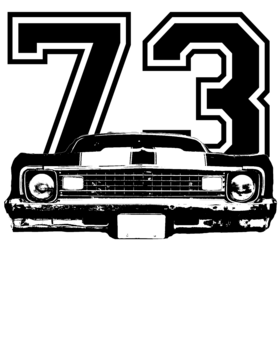 https://s3.us-west-1.wasabisys.com/ecart-content/cargeektees.com/overlays/572/751/5727514.png img
