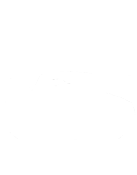 https://s3.us-west-1.wasabisys.com/ecart-content/cargeektees.com/overlays/591/235/5912356.png img
