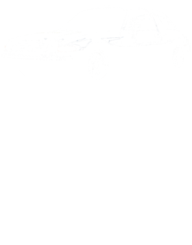 https://s3.us-west-1.wasabisys.com/ecart-content/cargeektees.com/overlays/591/455/5914551.png img