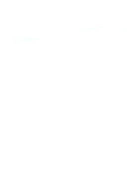 https://s3.us-west-1.wasabisys.com/ecart-content/cargeektees.com/overlays/594/546/5945467.png img