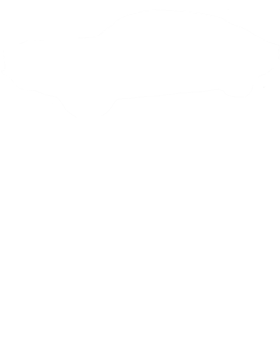 https://s3.us-west-1.wasabisys.com/ecart-content/cargeektees.com/overlays/602/724/6027249.png img